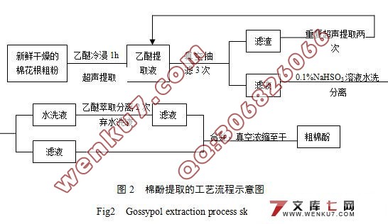 微生物处理棉花根对棉酚提取效率的影响