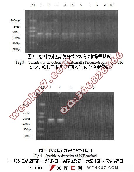 ȷΰ˹¸˾16S rDNA-PCRⷽĽӦ