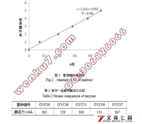 一株酸性淀粉酶产生菌的筛选与发酵条件的优化