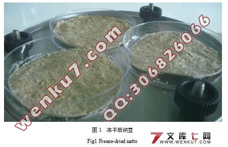 纳豆胶囊加工过程中纳豆激酶的变化研究