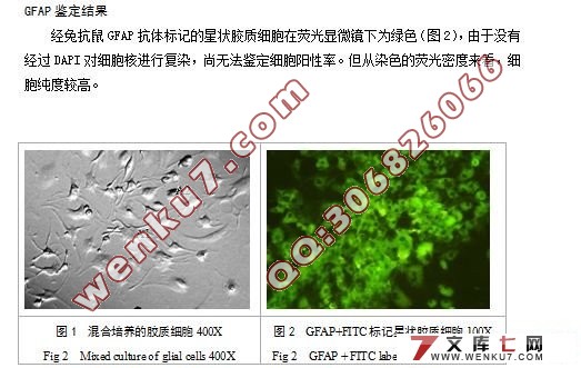 С����״����ϸ����������������