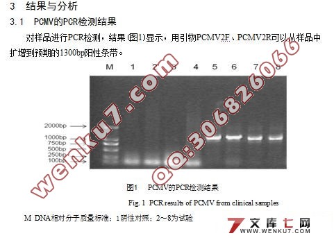 ����ϸ�������ǵ���B�����¡�����з���