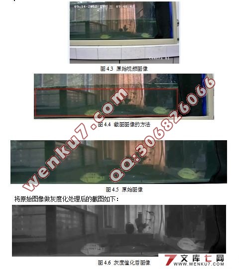 基于视频的罗非鱼检测设计与开发(MATLAB)