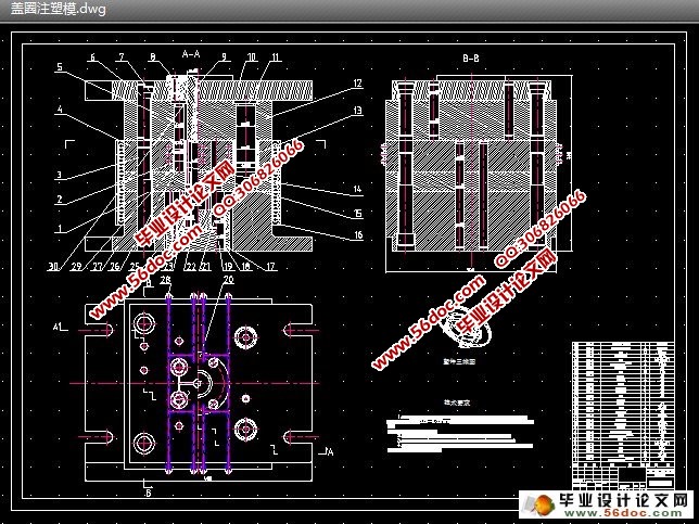 盖圈注塑模设计(CAD,Proe三维)