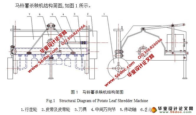 马铃薯杀秧机的设计(农业机械)
